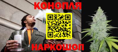 крисы Новозыбков