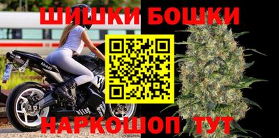 крисы Новозыбков