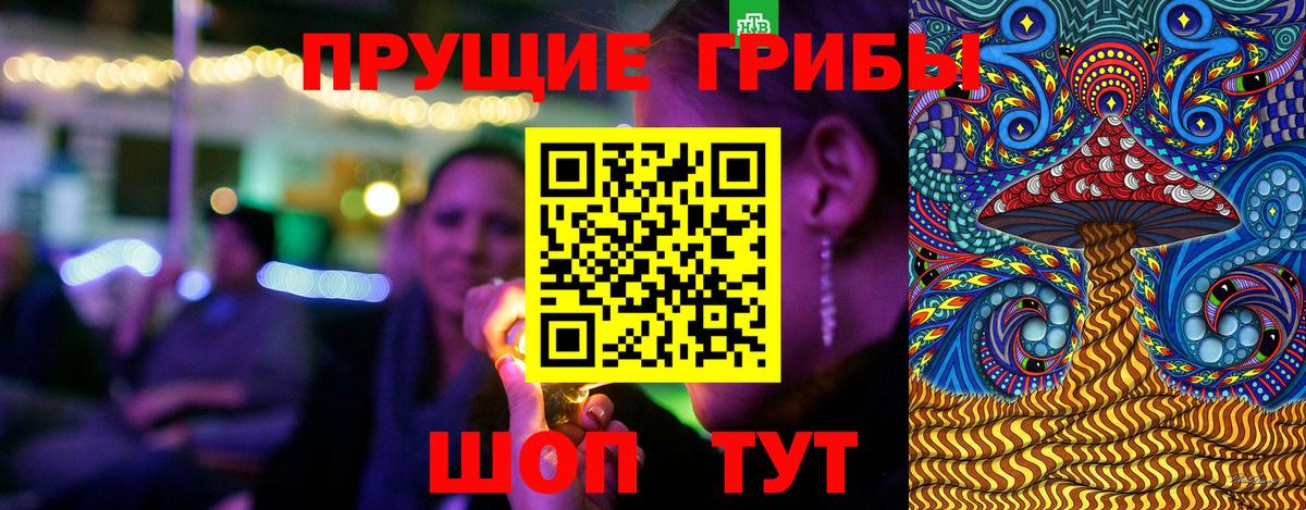 Псилоцибиновые грибы Psilocybe Сорочинск